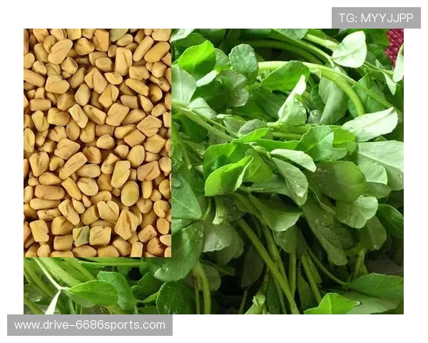 足球巨星力荐帮润喉片 助你舒缓喉咙不适恢复最佳状态